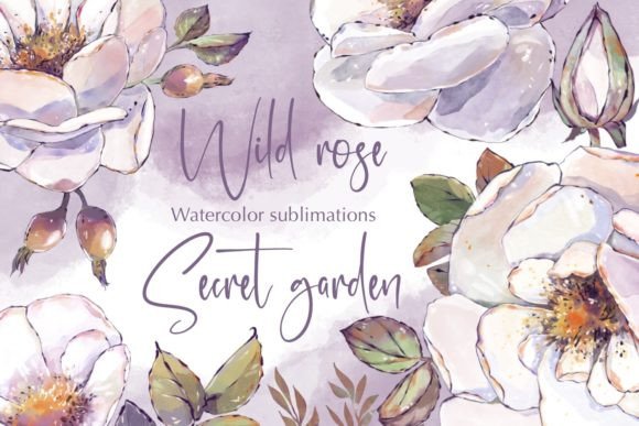 Download Wild Roses Watercolor Sublimations - Sublimations Collection